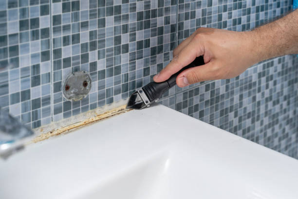 Best Mold Remediation for Specific Building Types in Newark, NY